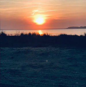 Meet your Posher, Avery